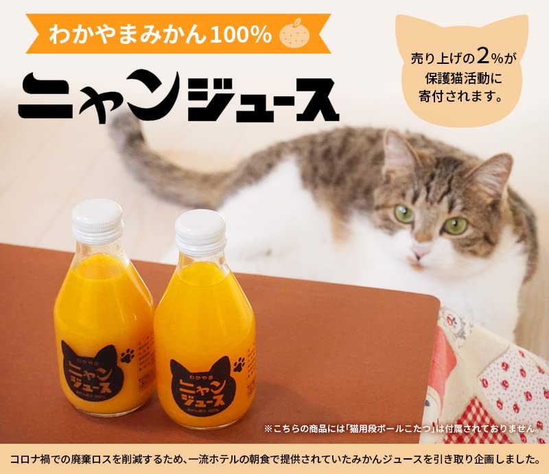Amazon.co.jp: わかやま ニャンジュース 180ml瓶×10本入 (和歌山みかん